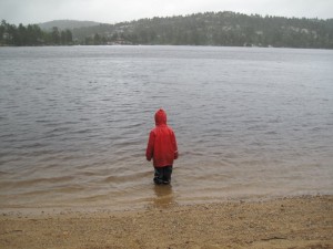 Ellen i søen